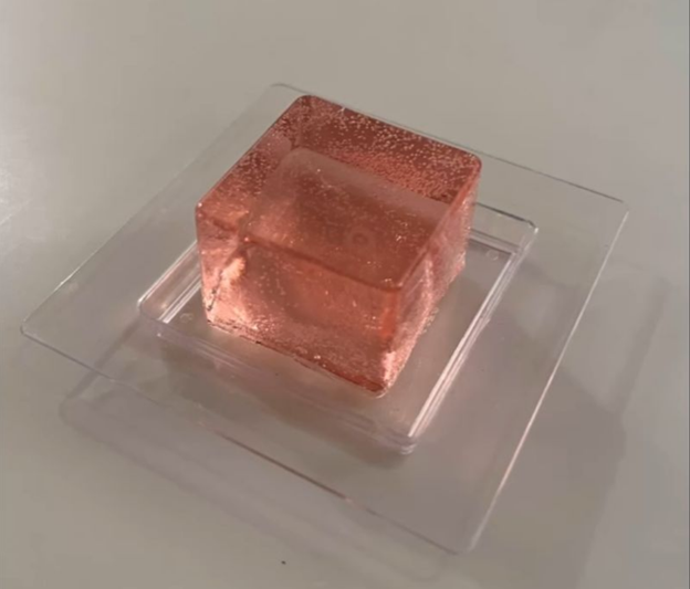Watermelon & Vodka jelly 
